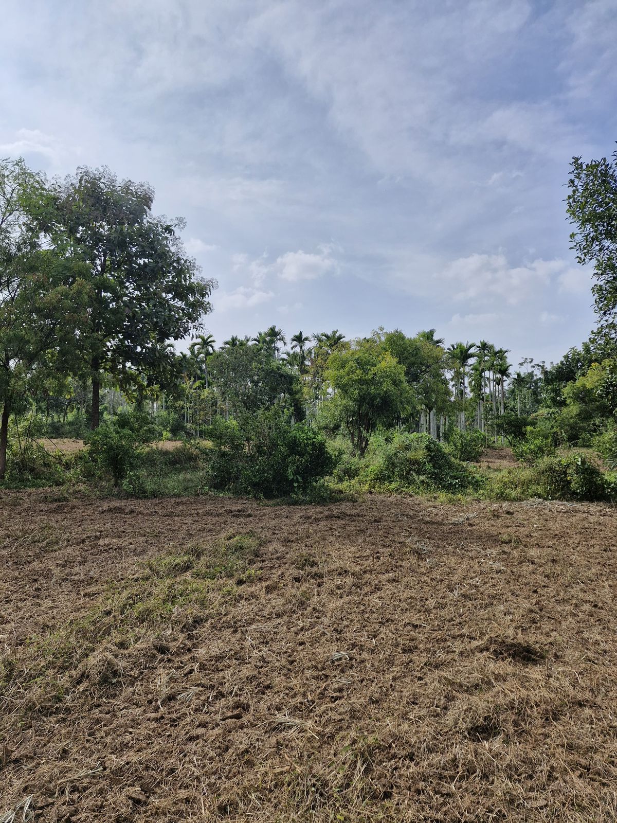 2 acre farm land for sale in Bangalore  rural
